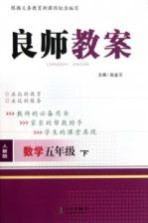 良师教案 数学 五年级 下 人教版