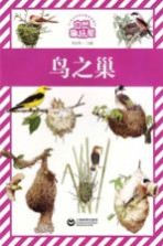 自然趣玩屋 鸟之巢