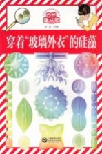 自然趣玩屋 穿着玻璃外衣的硅藻