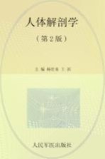 人体解剖学