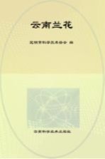 花中君子 云南兰花