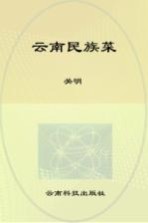 滇味美食丛书 云南民族菜