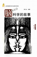 脑科学的故事