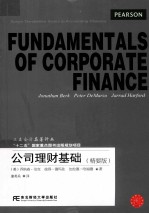公司理财基础 精要版