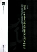 知识产权体系下非物质传统资源权利保护研究