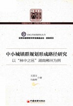 中小城镇群规划形成路径研究 以“林中之邑”湖南郴州为例