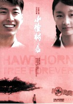 山楂树之恋 电影纪念版