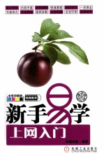 新手易学 上网入门