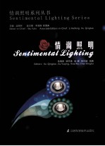 情调照明系列丛书 情调照明