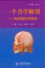 一个月学解剖 局部解剖学图谱