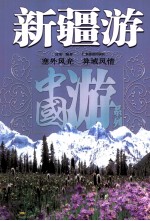 中国游系列 新疆游