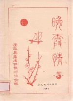 晚霞情 3