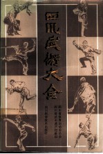 四川武术大全 上
