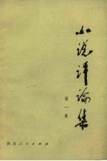 小说评论集 第1集