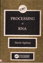 PROCESSING OF PNA