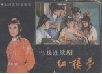 电视连续剧红楼梦