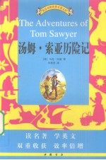 汤姆·索亚历险记