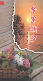 梦里潮汐