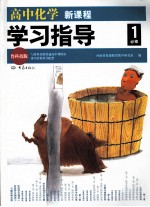 高中化学新课程学习指导 必修1 鲁科技版