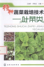 特种蔬菜栽培技术 叶菜类