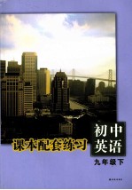 初中英语课本配套练习 九年级 下