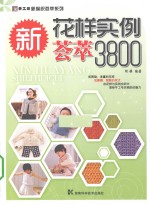 新花样实例荟萃3800