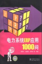 电力系统ERP应用1000问