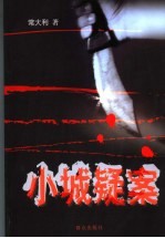 小城疑案