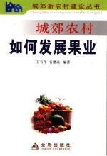 城郊农村如何发展果业