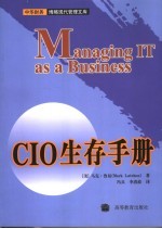 CIO生存手册