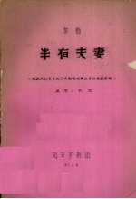 半夜夫妻