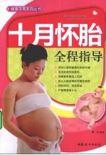 十月怀胎全程指导