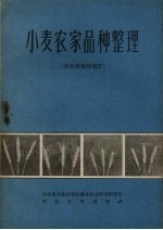 小麦农家品种整理 河北省南部地区