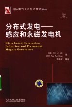 分布式发电 感应和永磁发电机