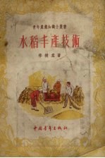 水稻丰产技术