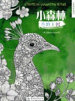 忘忧的涂色时光 小森林 鸟的王国