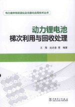 电力废弃物资源化及无害化应用技术丛书 动力锂电池梯次利用与回收处理