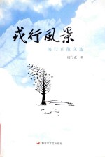 戎行风景 凌行正散文选