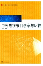 中外电视节目创意与比较