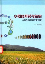 水稻的开花与结实 水稻生殖器官发育图谱