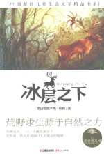 青春望天树 中国原创儿童生态文学精品书系 冰层之下