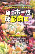 和二木一起玩多肉 2 上