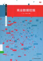 商业分析丛书 商业数据挖掘