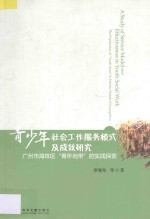 青少年社会工作服务模式及成效研究 广州市海珠区青年地带的实践探索