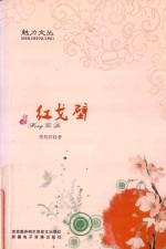 魅力文丛 红戈壁