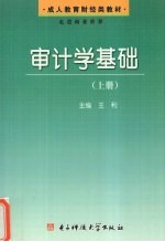 审计学基础 下