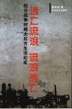 逃亡流浪 流浪逃亡：抗日战争时期大后方生活纪实