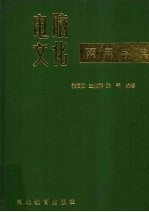 电脑文化两用字典