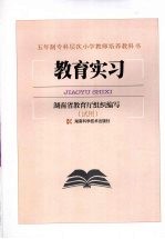 教育实习 (试用)
