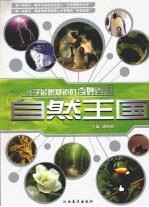 自然王国